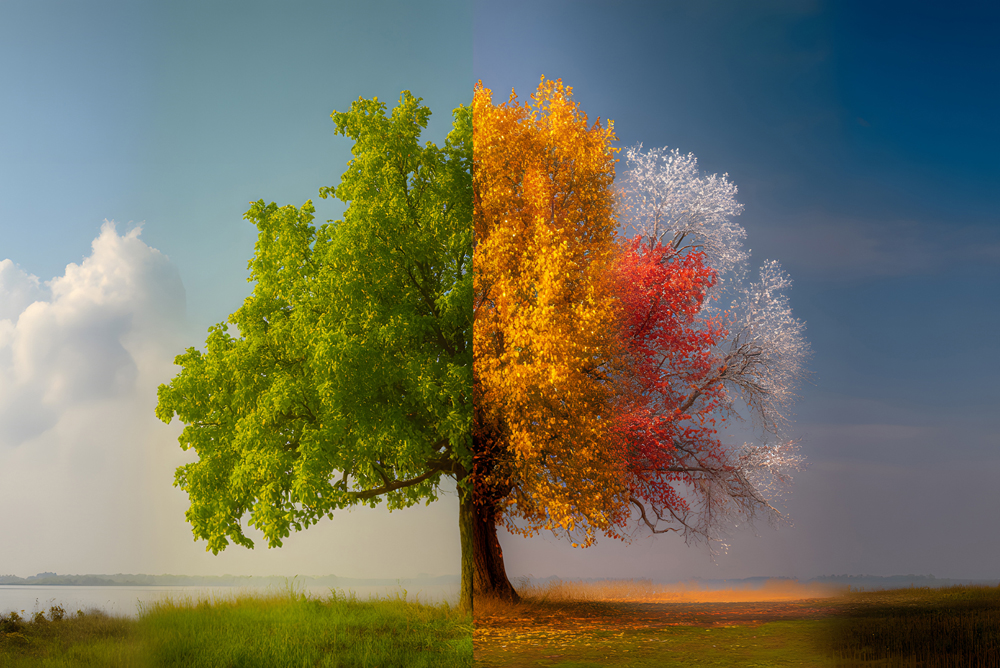 Clima stagionale e funzionalità delle vie urinarie